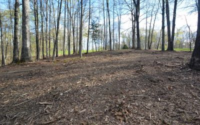 Land Clearing, Lot Clearing Service, Land Work, Forestry Mulching, Free Estimates